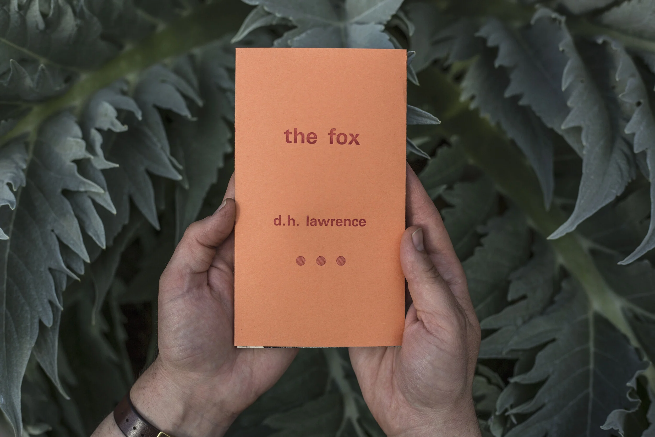 THE FOX – D.H. Lawrence — two plum press